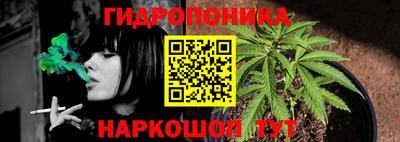 крисы Абинск