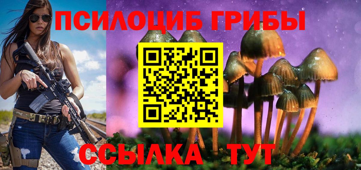 Псилоцибиновые грибы GOLDEN TEACHER  Вход с VPN  Алексеевка 